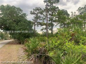 LEISURE LAKES S - Land