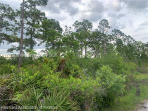 LEISURE LAKES S - Land