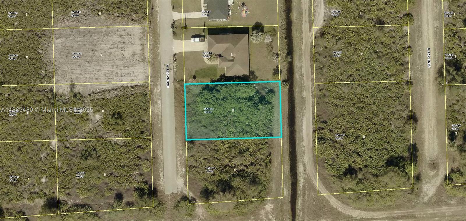 Lehigh Acres - Land