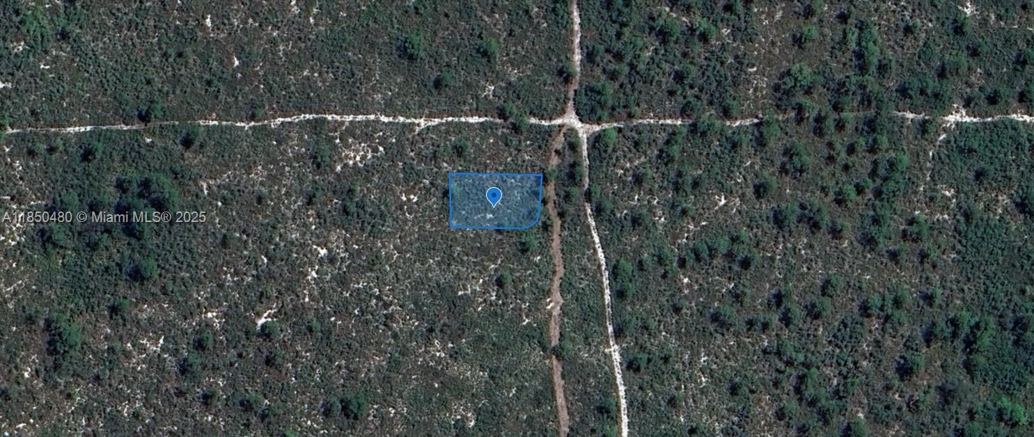 OWNER WILL FINANCE!!! 1K DOWN 243.93 A MONTH FOR 36 MONTHS AT 7% INTREST. ADJANCENT LOT AVAILABLE!! Lake Placid Florida, 75 Wide and 150 feet Deep = .26 of an Acre, In Highlands Park Estates. Walking distance to Lake Istokpoga, where the Big Bass Bite! Highlands County has 100 Lakes and Affordable Golf, Highlands Hammock State Park, Many Bird Watching Parks where you will see the Scrub Jays! Nature Abounds all around, Kayaking, Bike Trails, Fishing! Get back to the Real Life in Lake Placid Florida!
