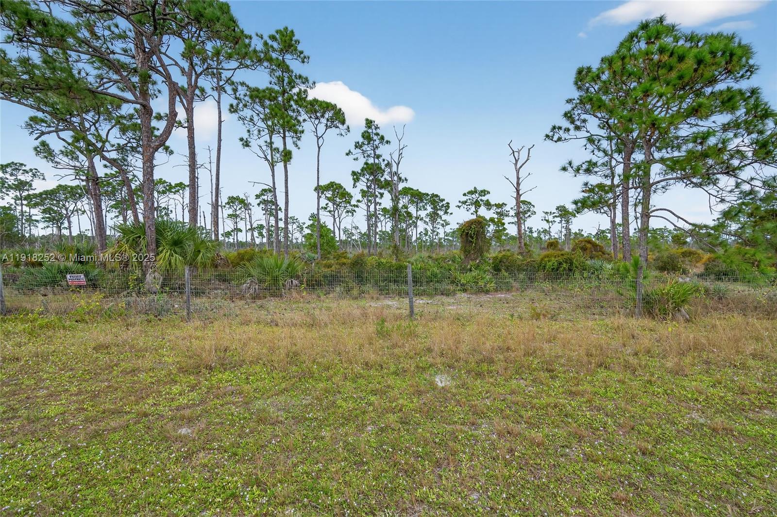 THE LITTLE CLUB CONDO - Residential