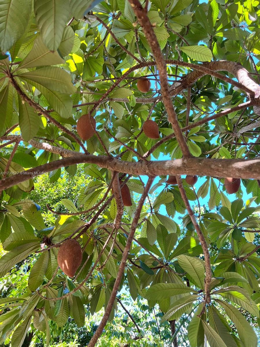 THE REDLANDS SEC 2 - Residential