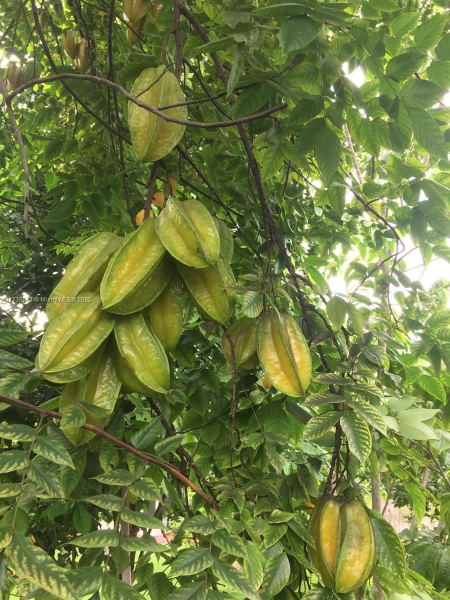 THE REDLANDS SEC 2 - Residential