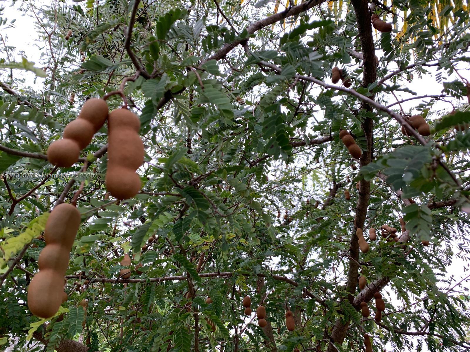 THE REDLANDS SEC 2 - Residential