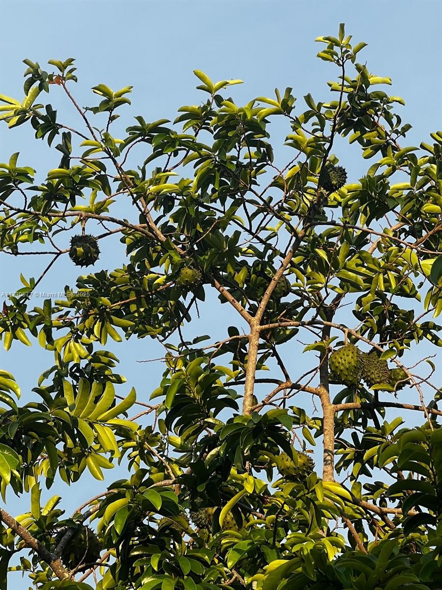 THE REDLANDS SEC 2 - Residential