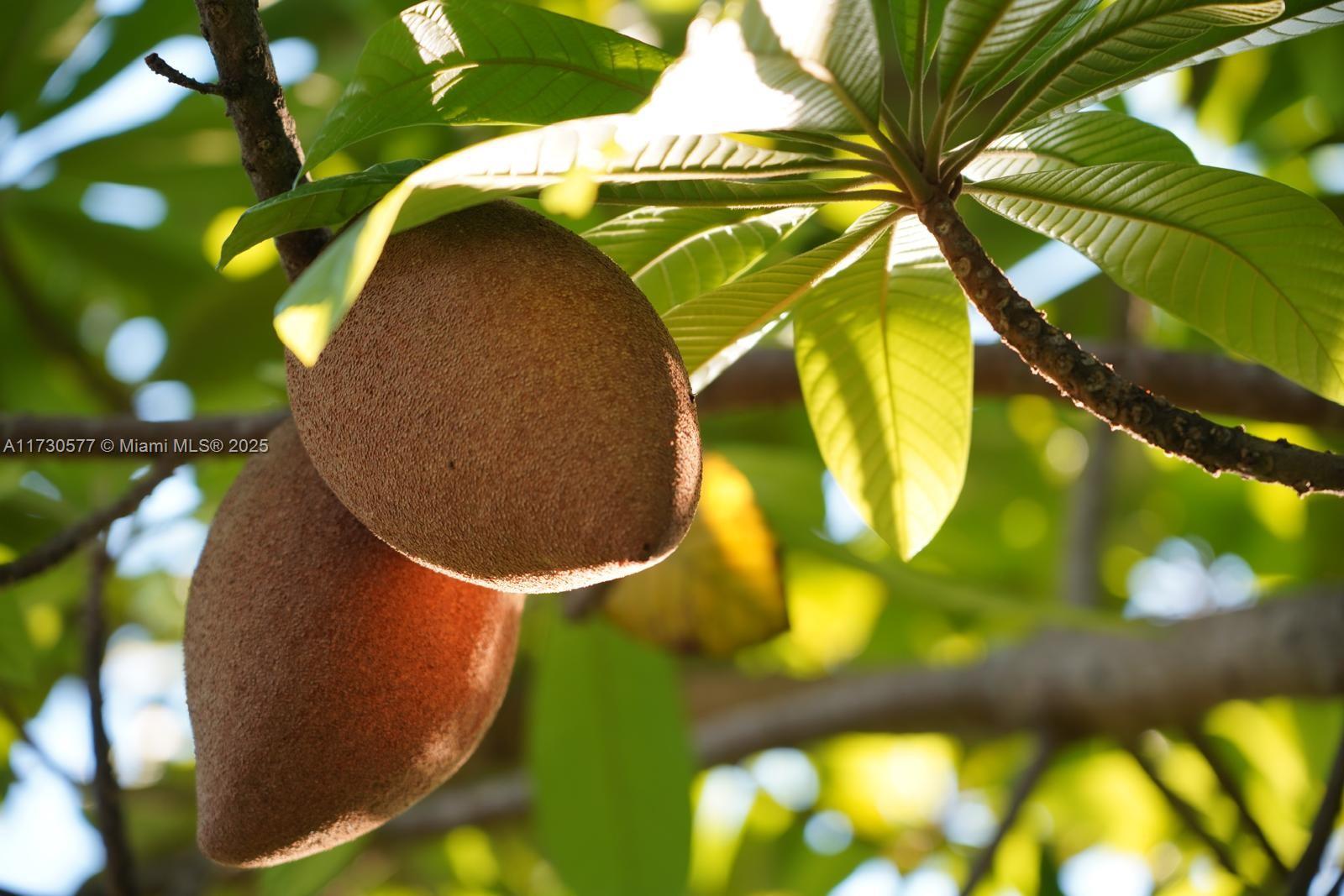 THE REDLANDS SEC 2 - Residential