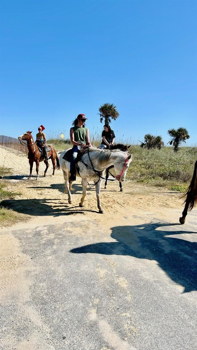 JOHNSON BEACH - Residential