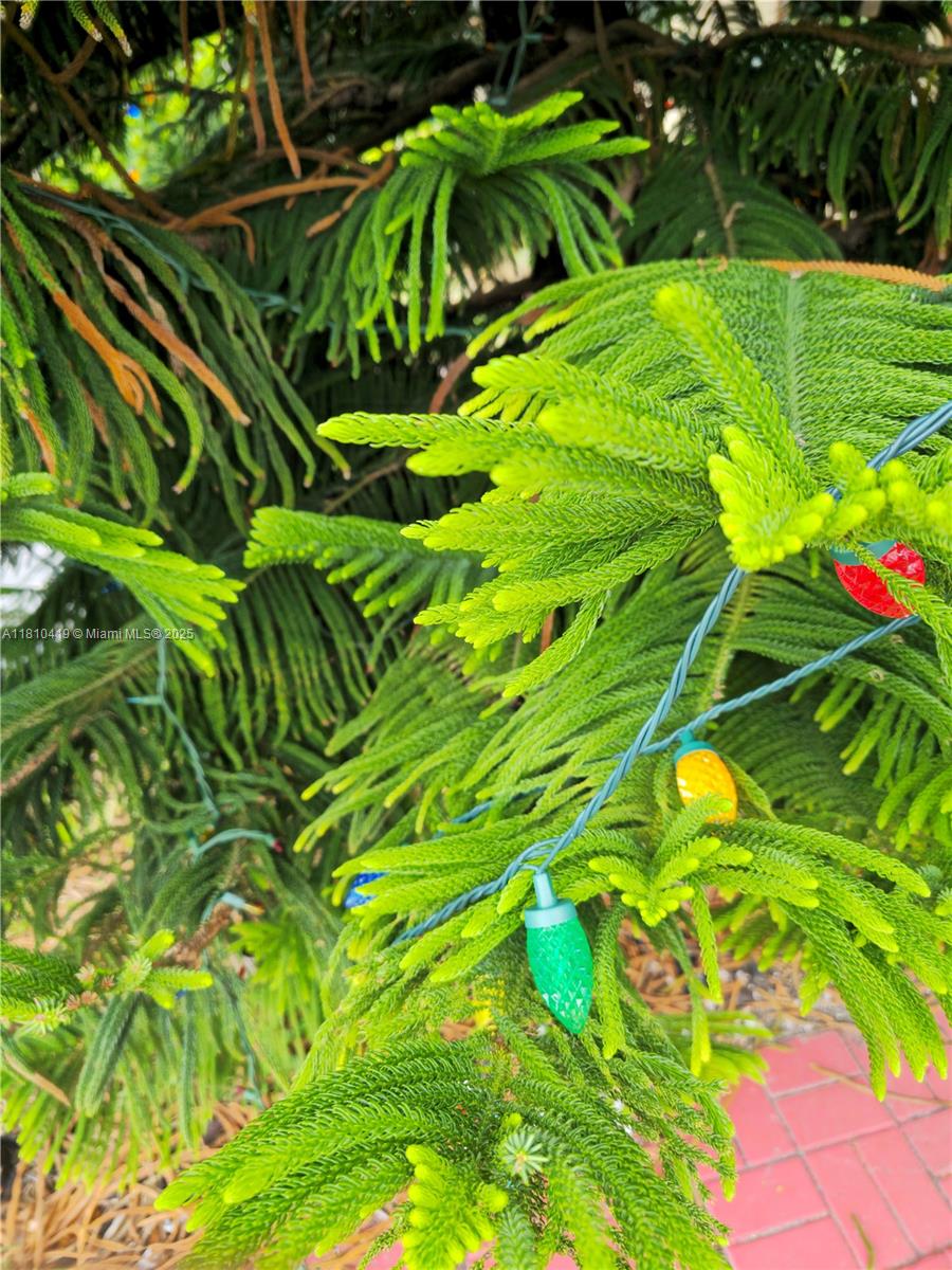 HAMMOCK OF SANDALFOOT - Residential