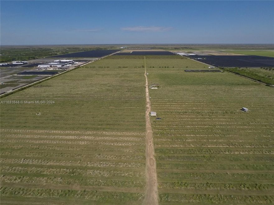 Huge 80 Acre income producing farm land with lots of frontage to a public road! Currently Guava, and Longan
Fruit Grove, lots of income! Perfect for a huge nursery! Owner Financing available!!