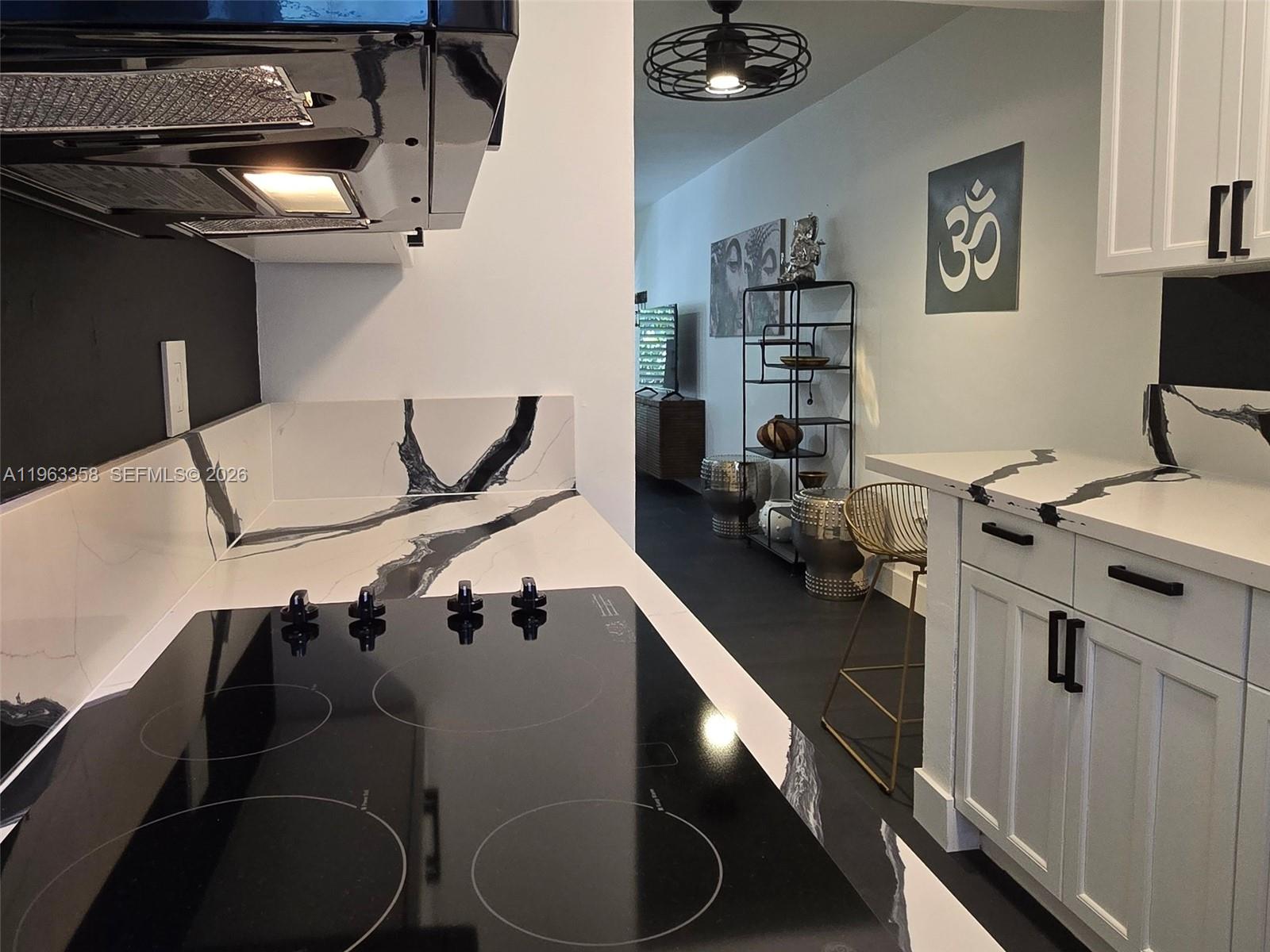 WINDSOR TERRACE CONDO - Residential