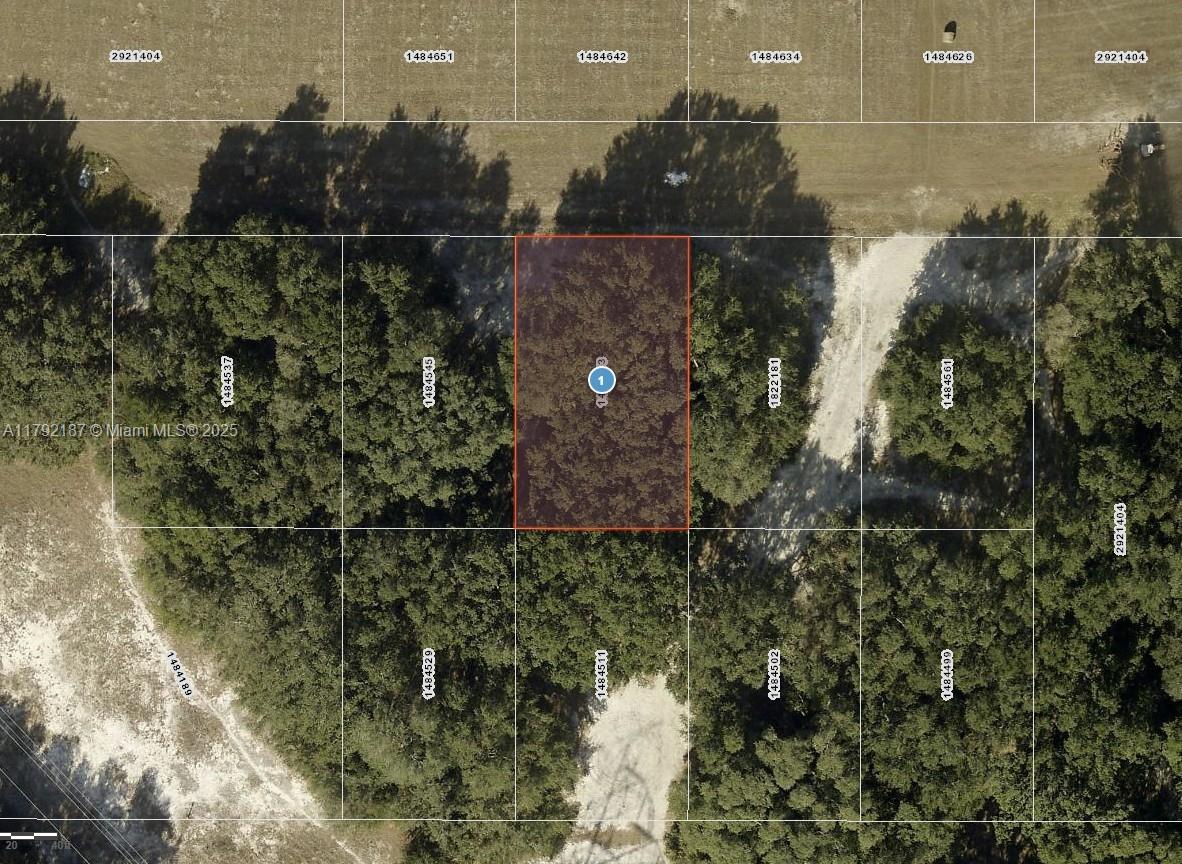 ORANGE BLOSSOM HILLS SOUTH - Land