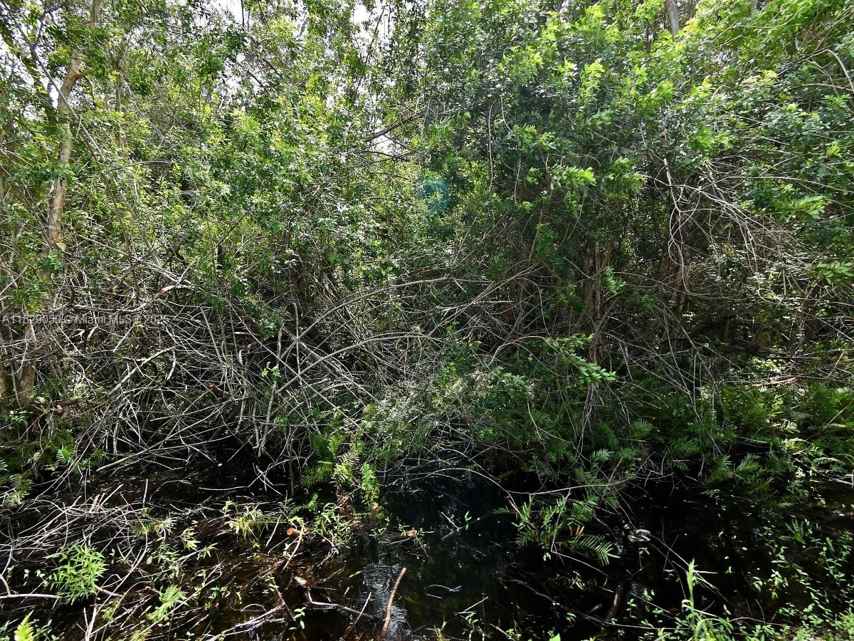 Discover the perfect opportunity to own land in the fast-growing Fort Pierce area! This vacant lot on Dade Road offers a peaceful, residential setting don’t miss this opportunity to secure land in one of Florida’s emerging markets.