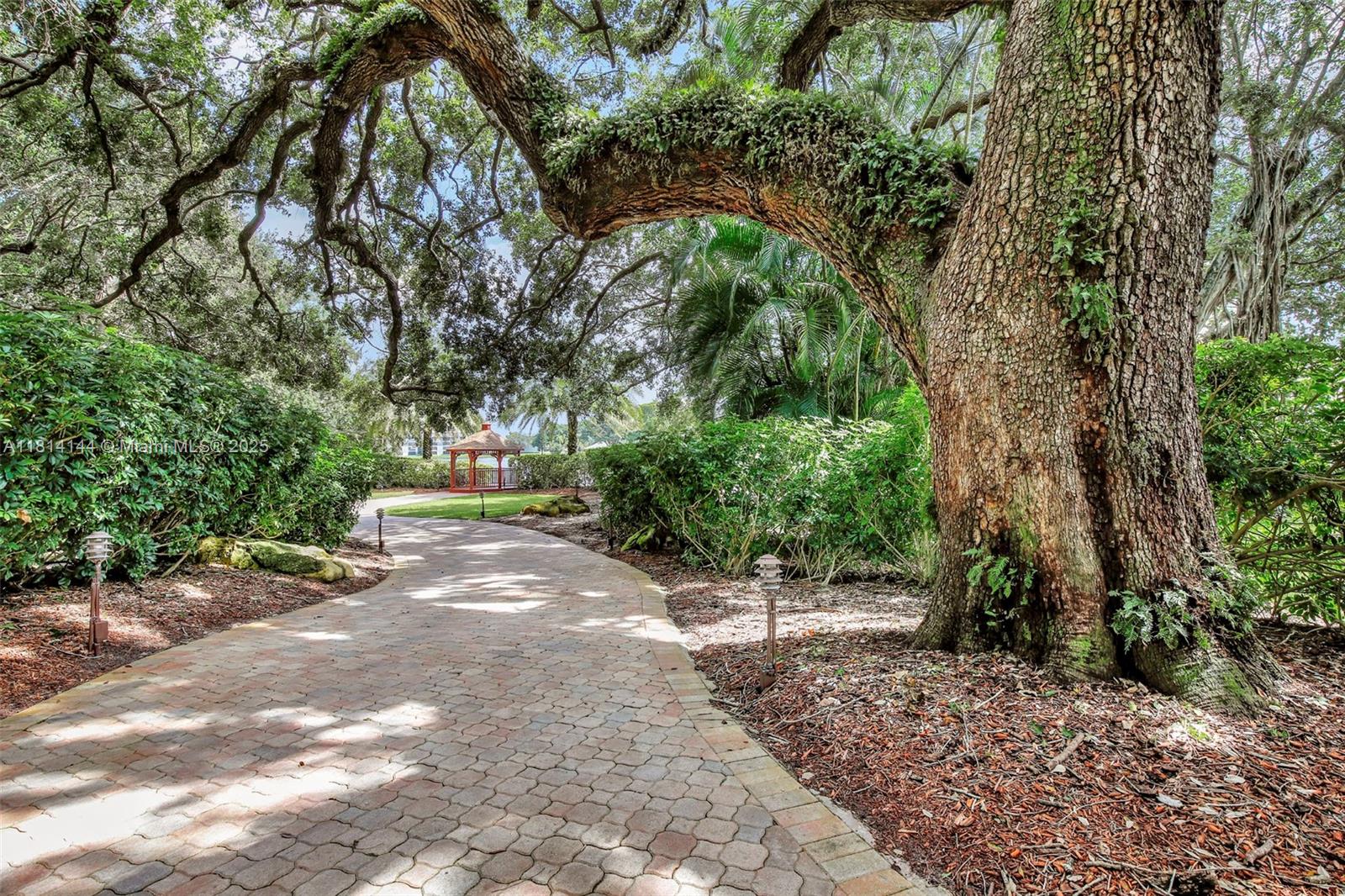 CONDO 8 OF SABAL PALM - Residential