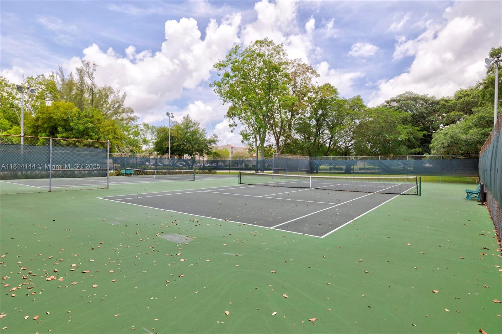 CONDO 8 OF SABAL PALM - Residential