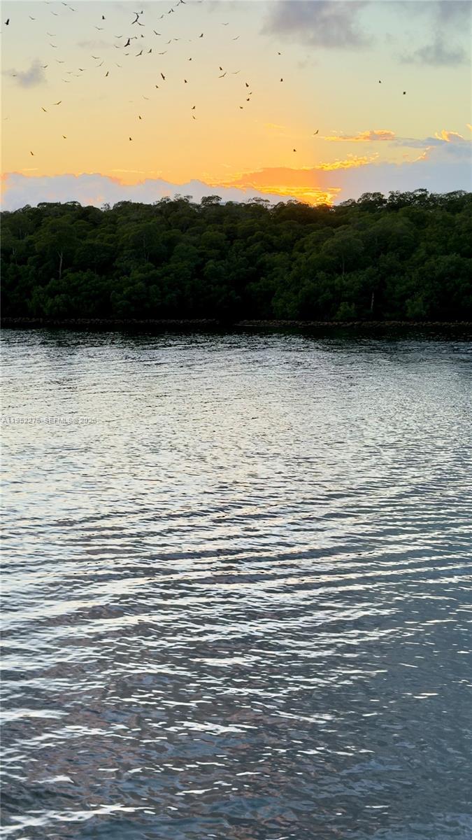 POINCIANA IS YT & RCQ CLU - Residential