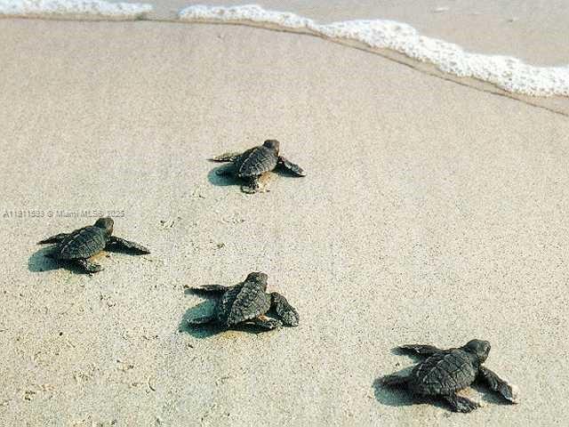 """HARBOUR SIDE YACHT CLU - Residential Lease