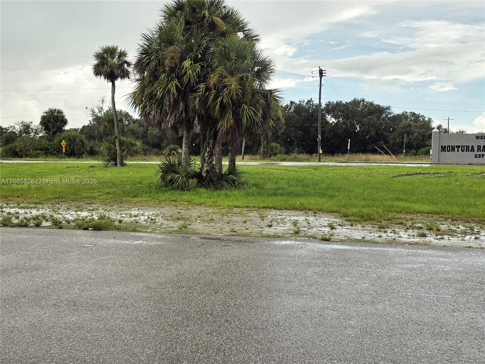 MONTURA RANCH EST 1 ST S/D - Land