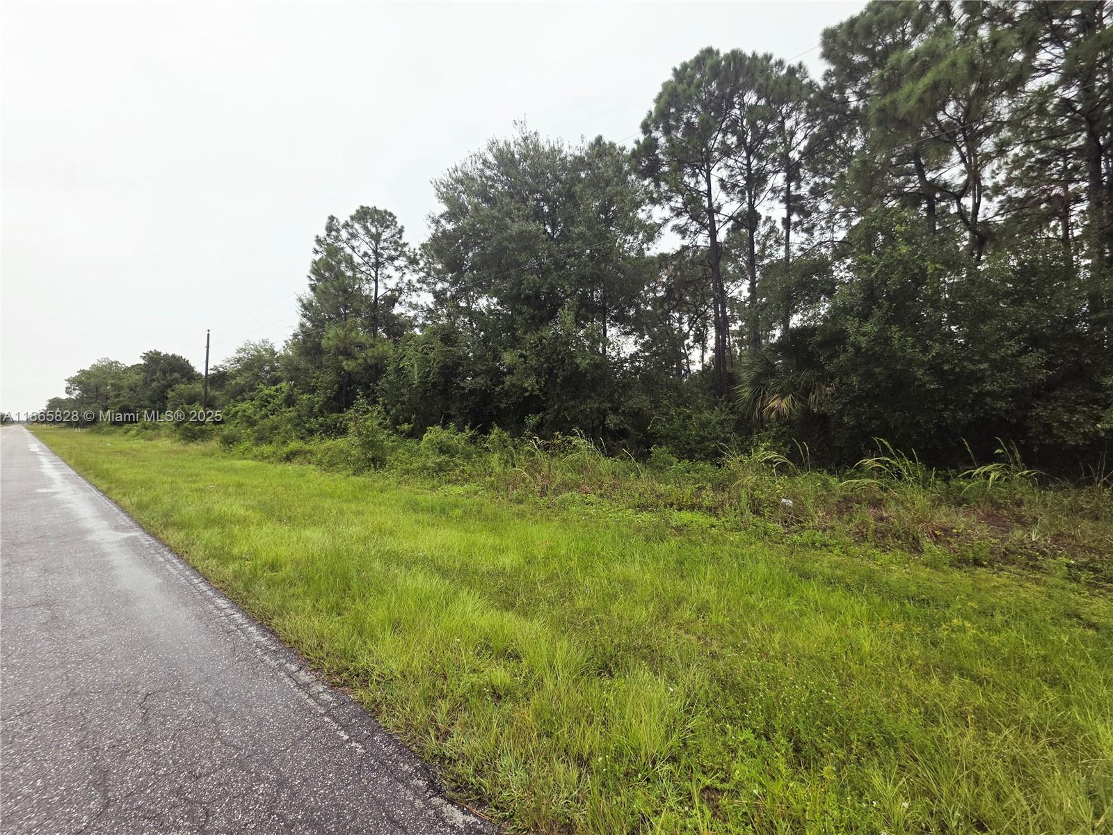 MONTURA RANCH EST 1 ST S/D - Land