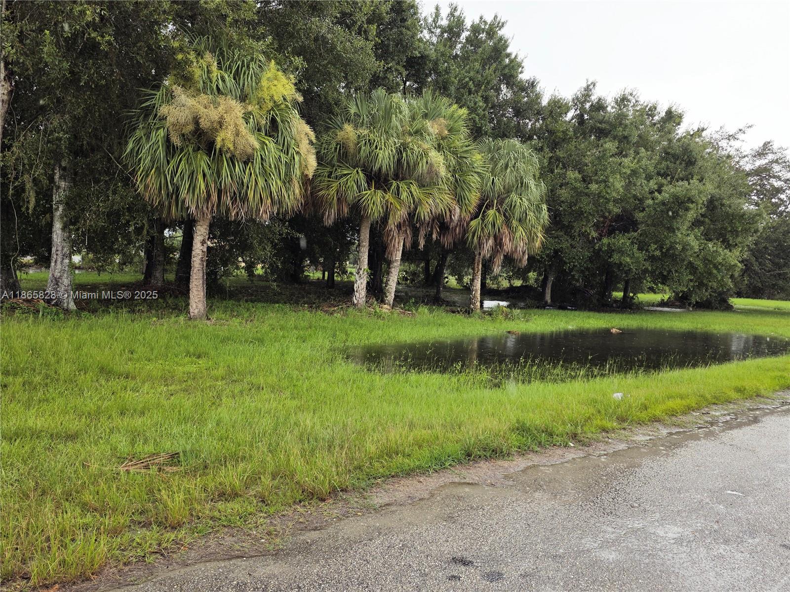 MONTURA RANCH EST 1 ST S/D - Land