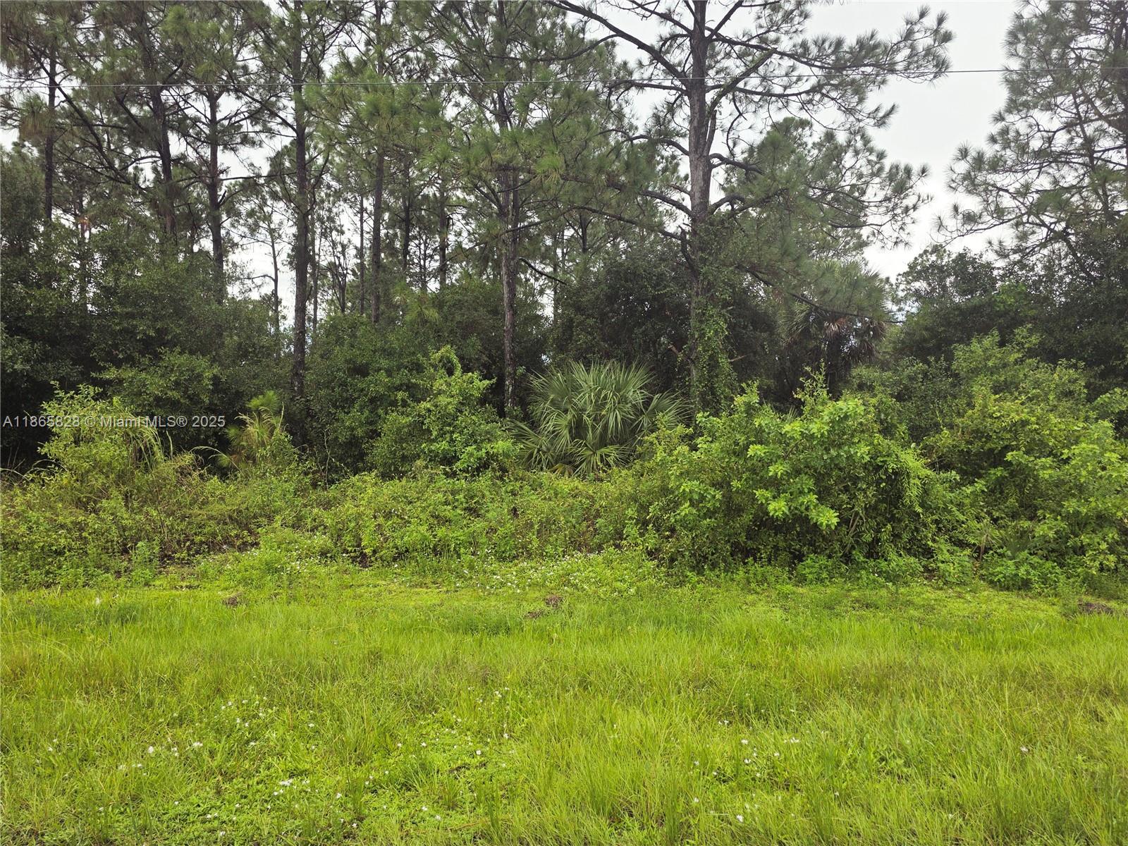 MONTURA RANCH EST 1 ST S/D - Land