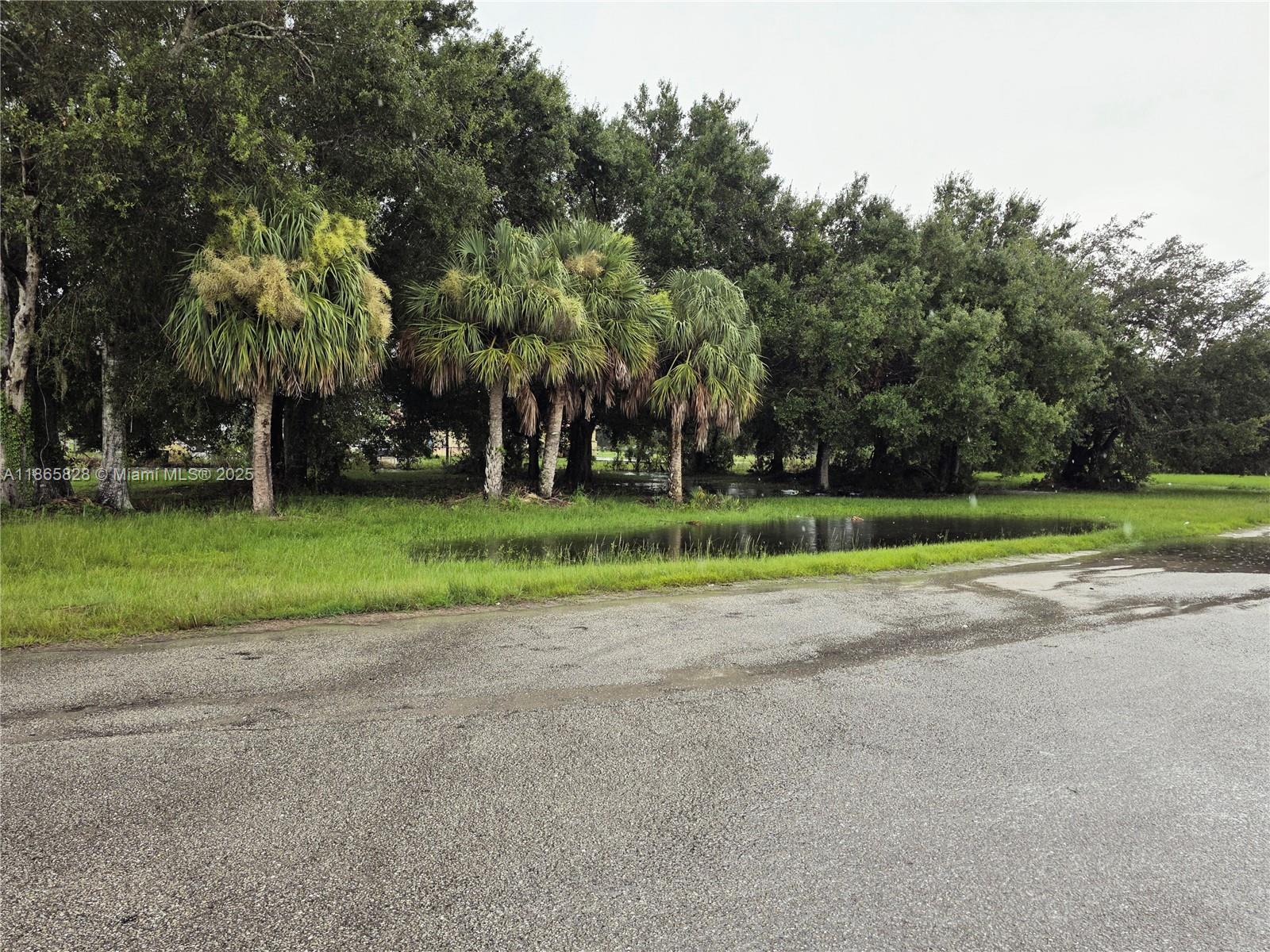 MONTURA RANCH EST 1 ST S/D - Land