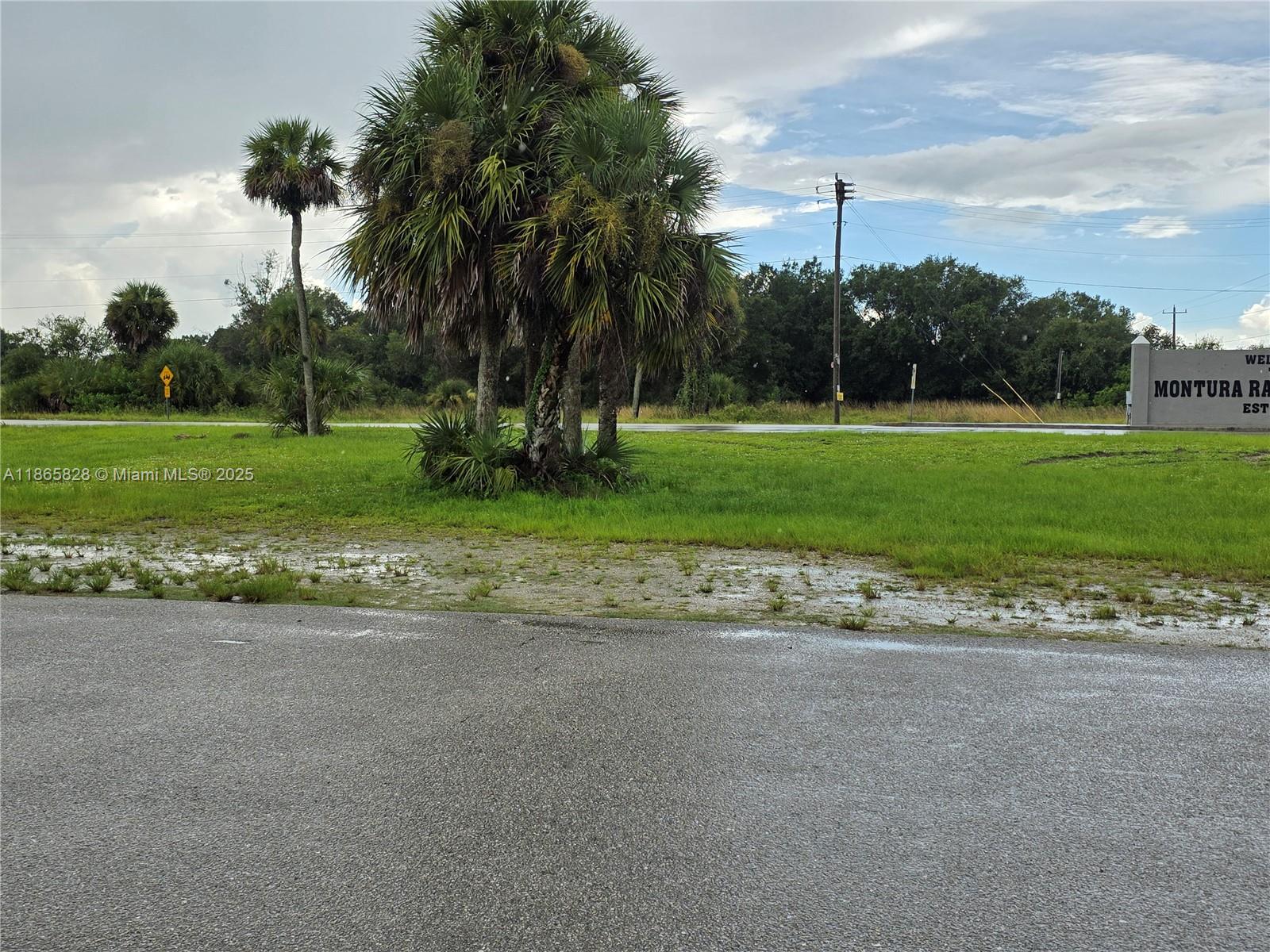 MONTURA RANCH EST 1 ST S/D - Land