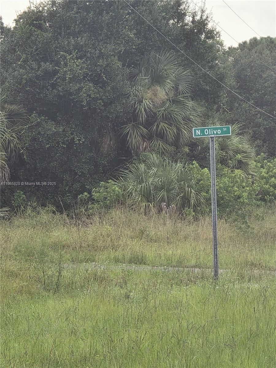 MONTURA RANCH EST 1 ST S/D - Land