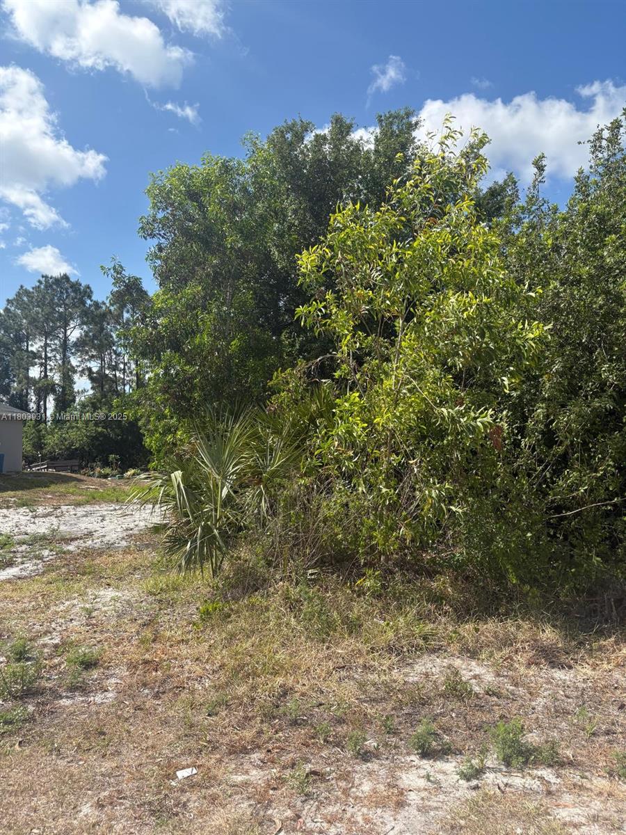 Residential Vacant Land. Corner unit. Utilities ready with FPL. Neighborhood partially developed. Surrounded by newer homes.
