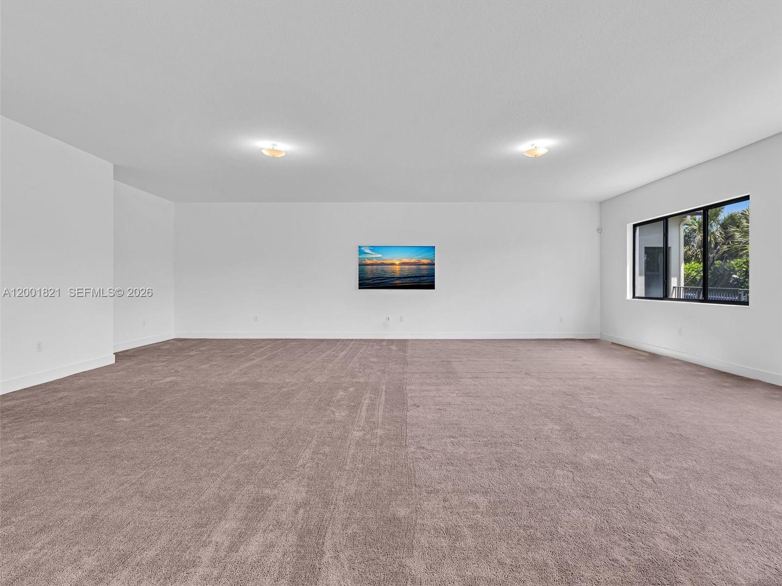 MAPLE RIDGE AT AVE MARIA - Residential