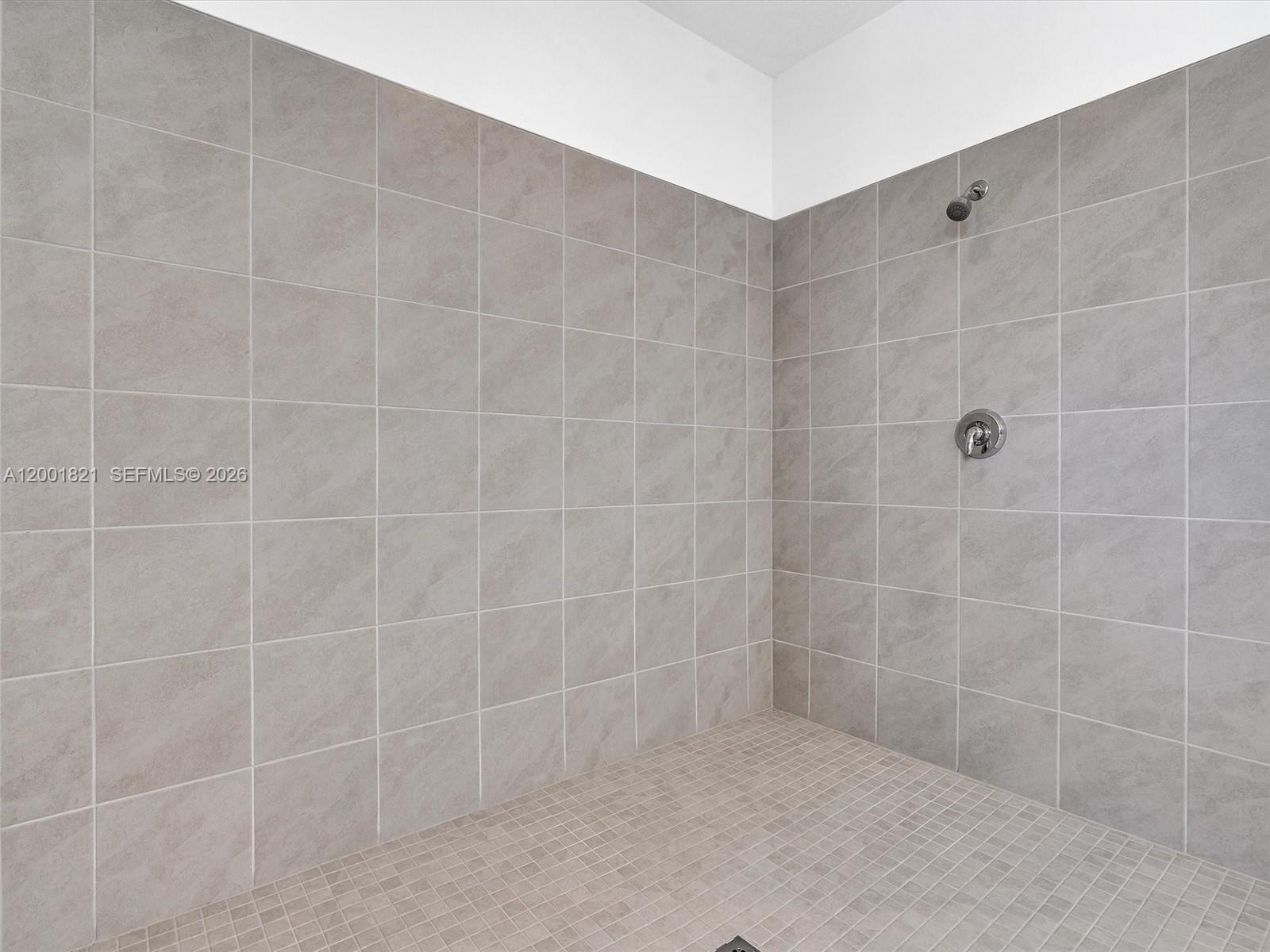 MAPLE RIDGE AT AVE MARIA - Residential