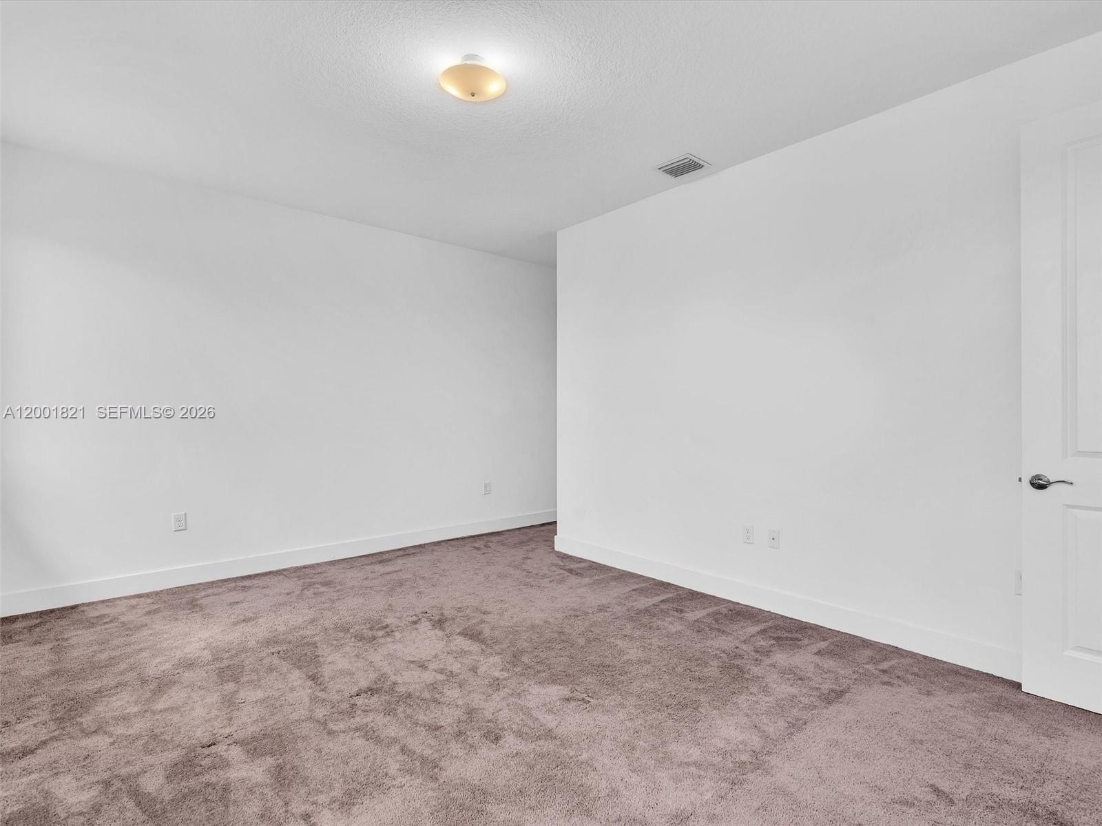 MAPLE RIDGE AT AVE MARIA - Residential