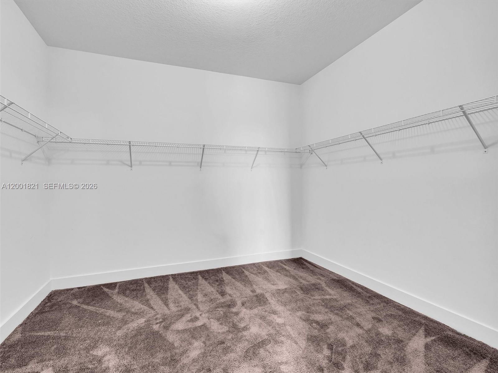 MAPLE RIDGE AT AVE MARIA - Residential