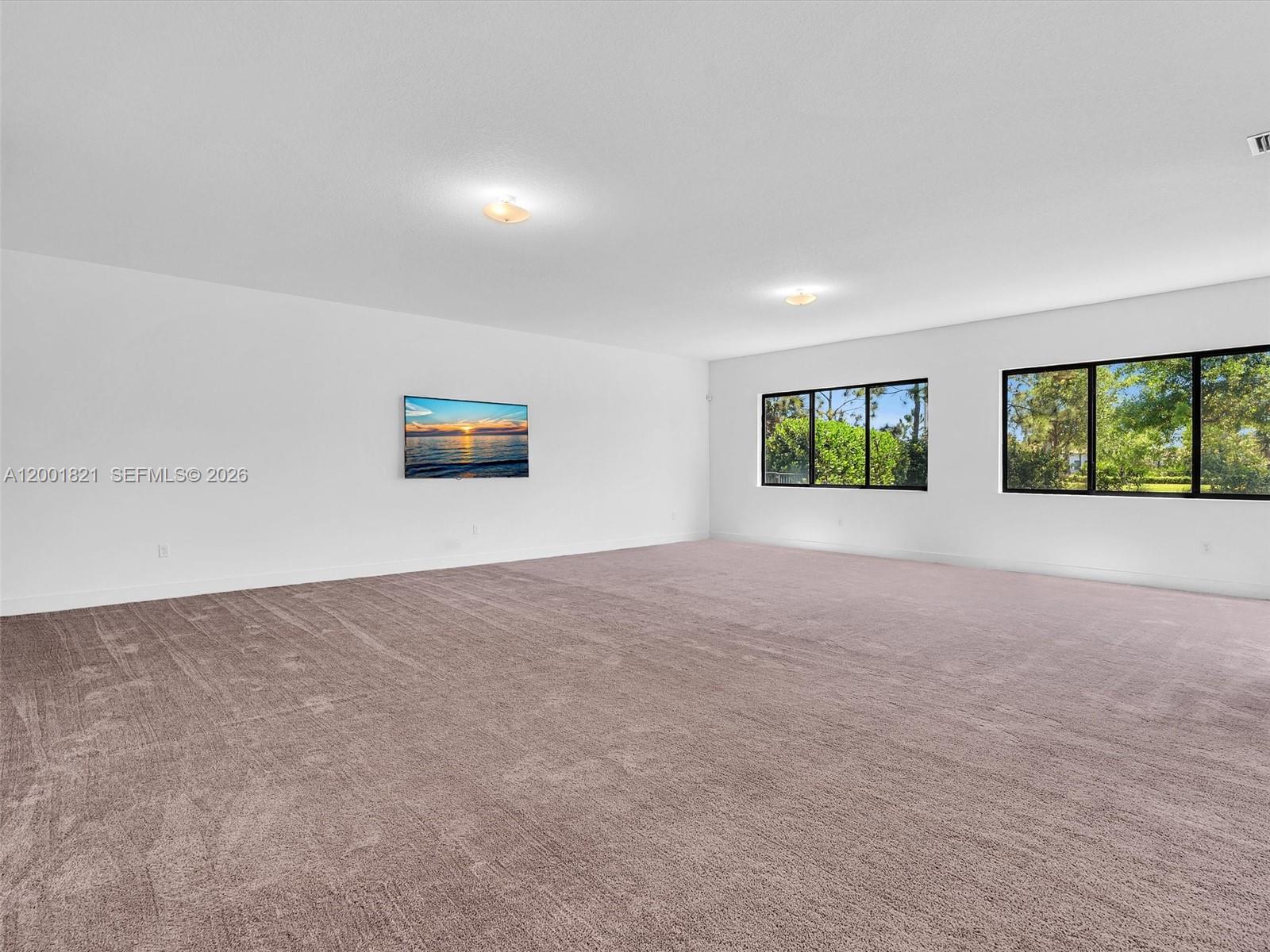 MAPLE RIDGE AT AVE MARIA - Residential