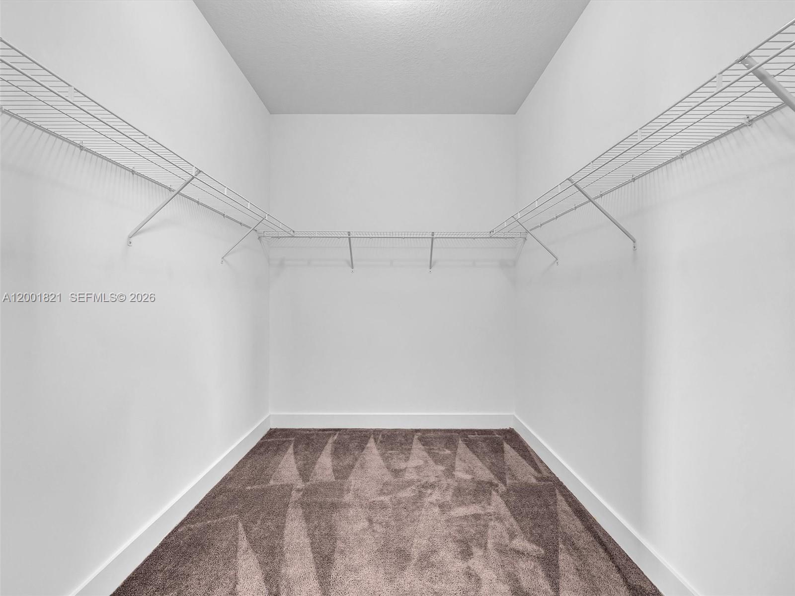 MAPLE RIDGE AT AVE MARIA - Residential