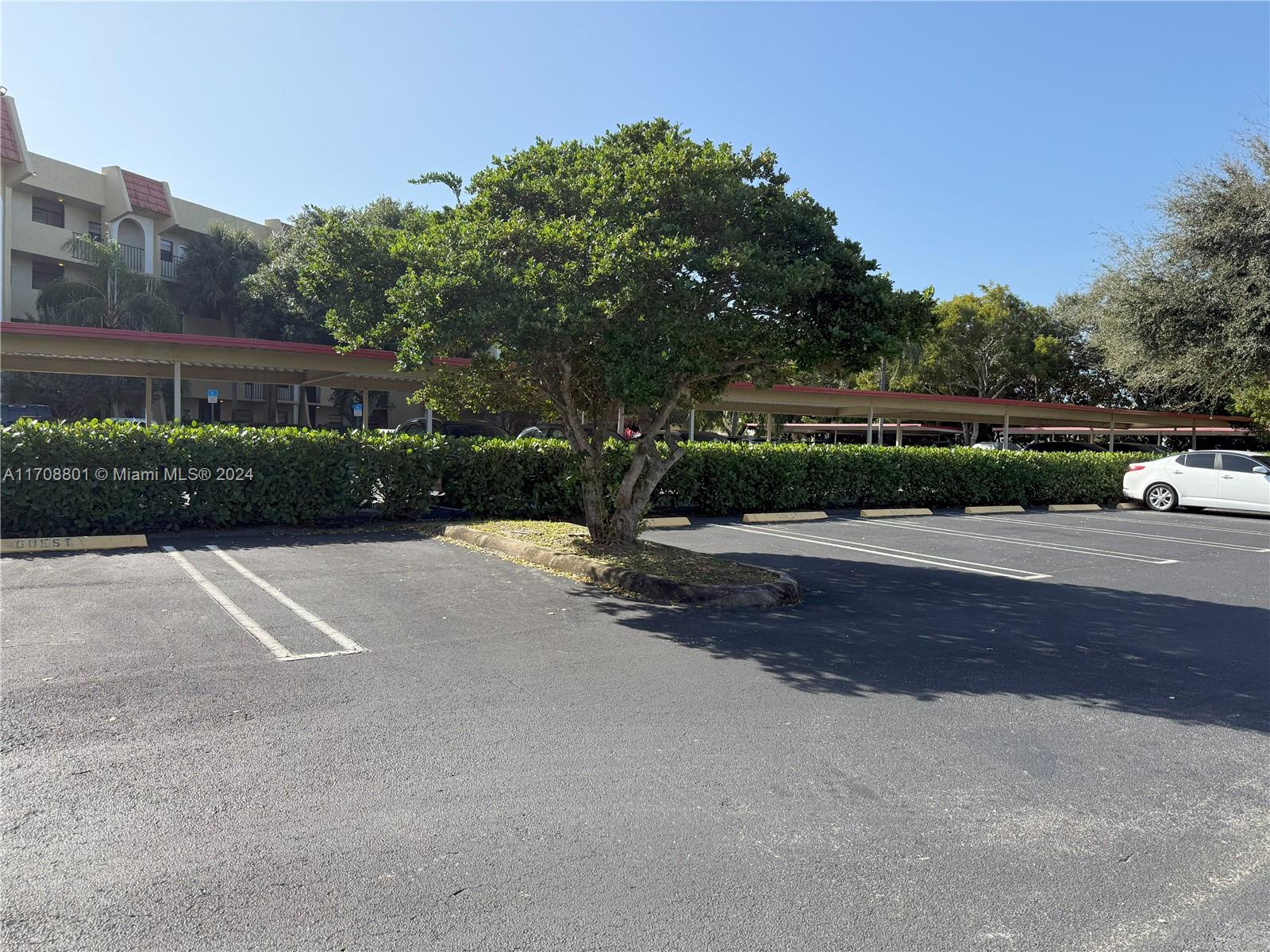PINES OF BOCA BARWOOD CON - Residential