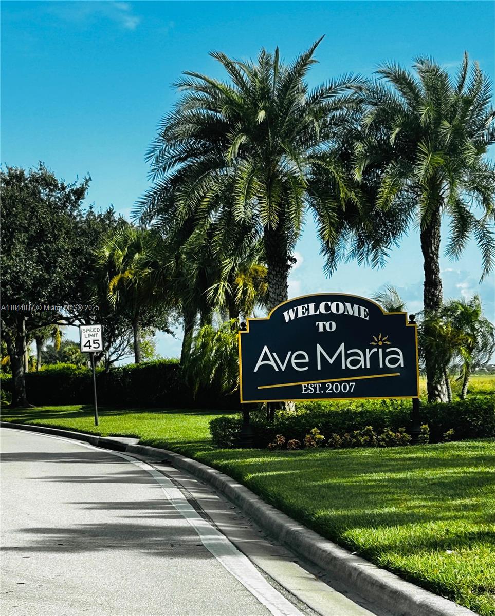 MAPLE RIDGE AT AVE MARIA - Residential