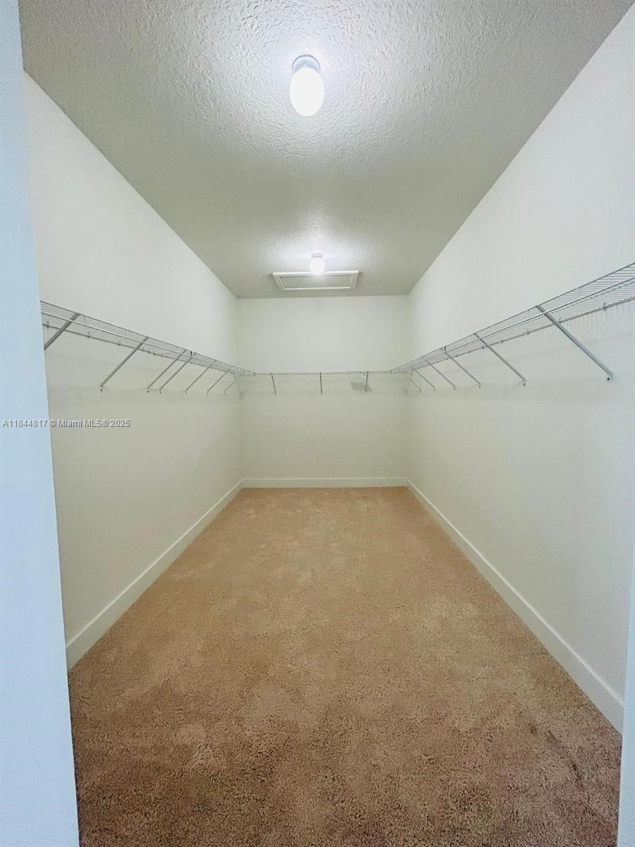 MAPLE RIDGE AT AVE MARIA - Residential