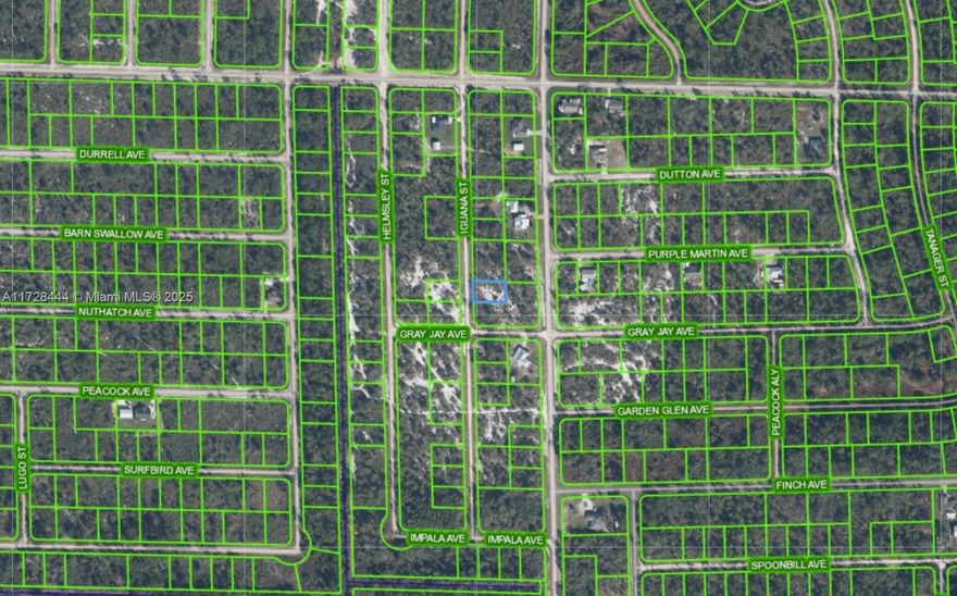 OWNER WILL FINANCE NO CREDIT CHECK NO CREDIT NEEDED. $1,000 DOWN $305.68 PER MONTH FOR 36 MONTHS AT 7% INTEREST. Power one lot away!!!LOT MOSTLETY CLEARED!!! Enjoy everything that Leisure Lakes has to offer. Leisure Lakes is just minutes from charming downtown of Lake Placid, Highlands County is a fisherman’s paradise with over 100 nearby lakes and creeks. Golfer’s will find 2 courses in Lake Placid, and another 13 courses within 20 miles of town. Lake Placid is also home to many parks, and is just a short distance from the enormous Highlands Hammock State Park which is home to more rare species than another other state park in Florida.