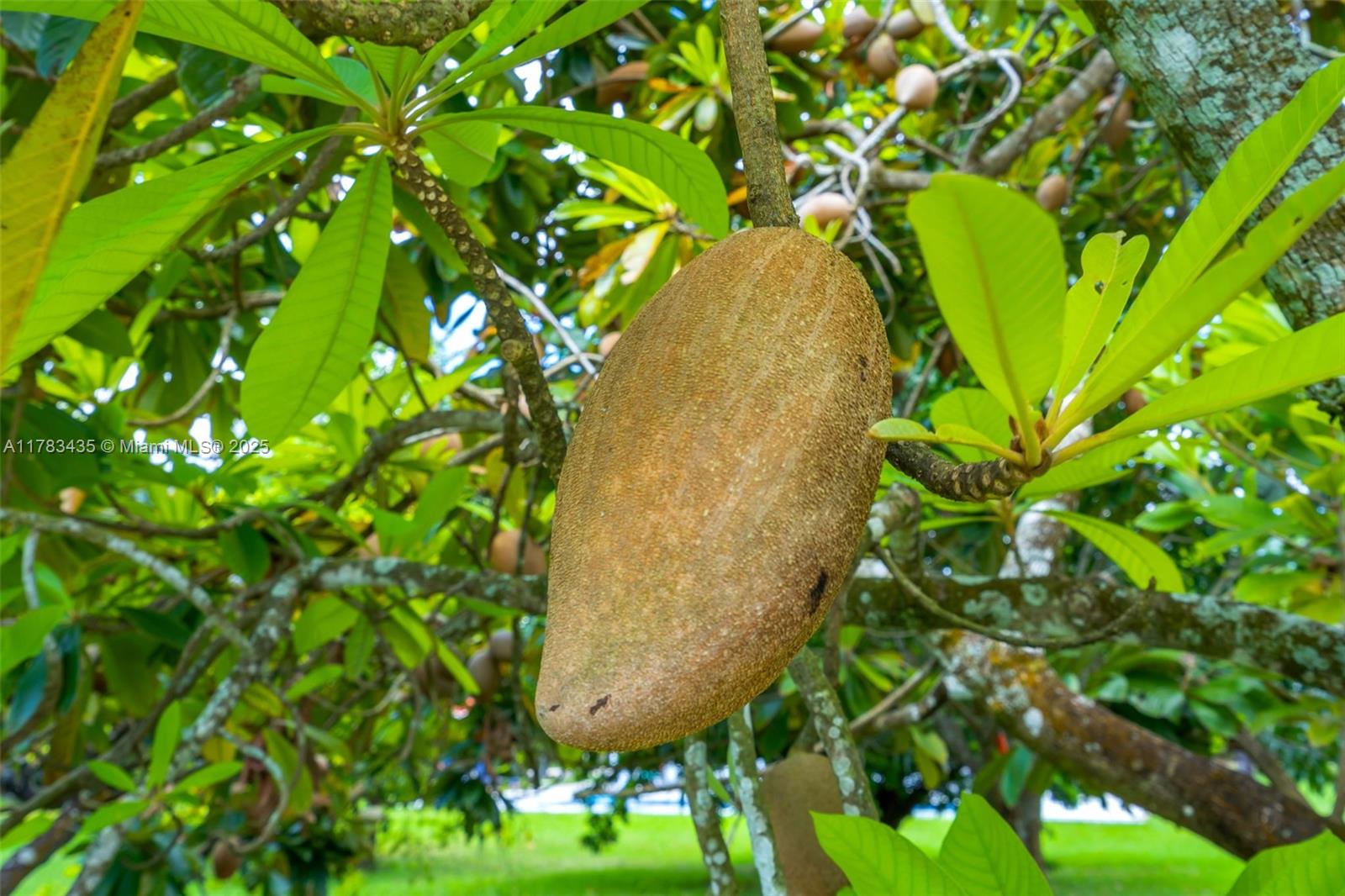 1.08 ACRE farmhouse - Residential