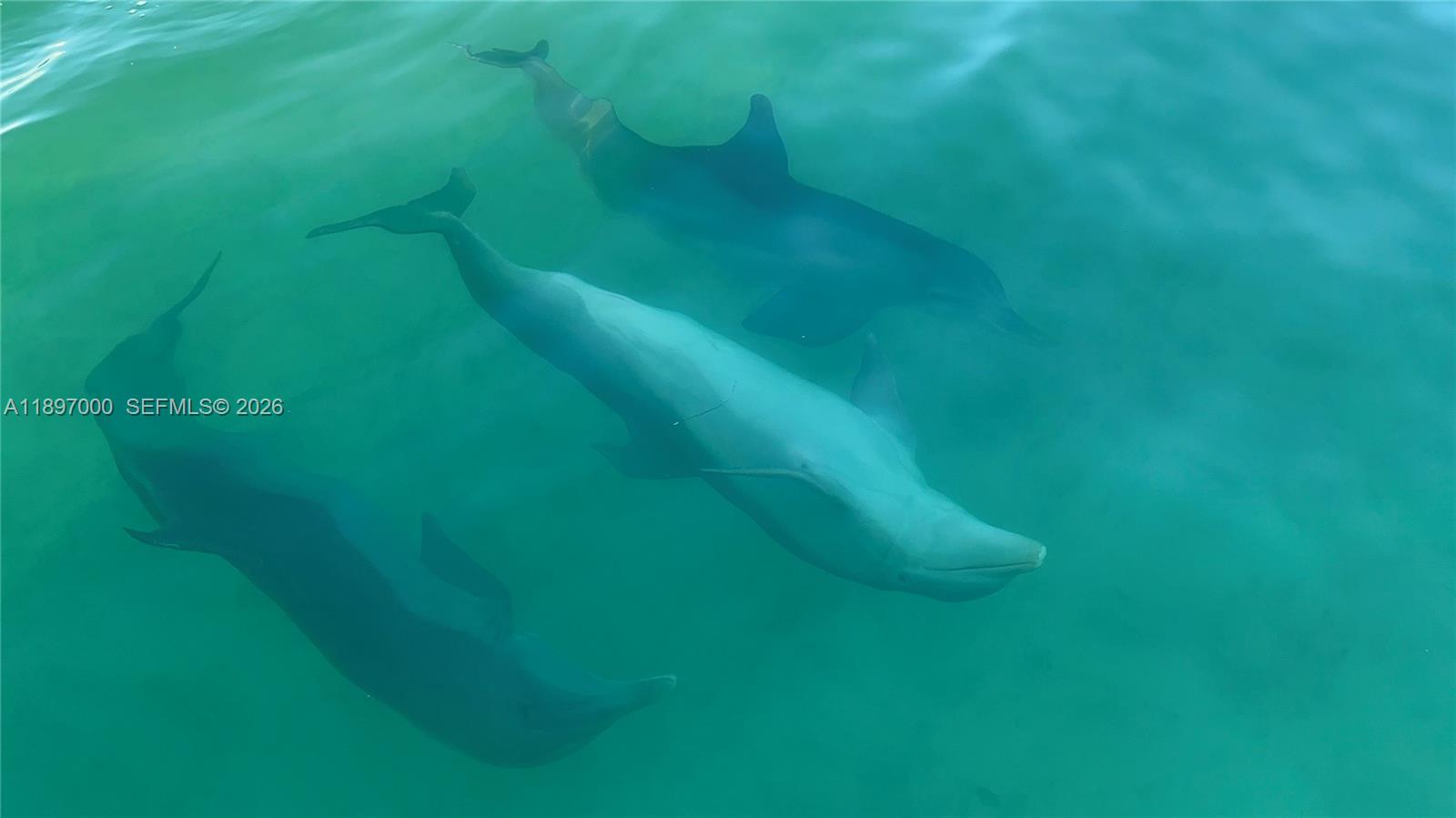 WHITE MARLIN BEACH SEC 2 - Residential