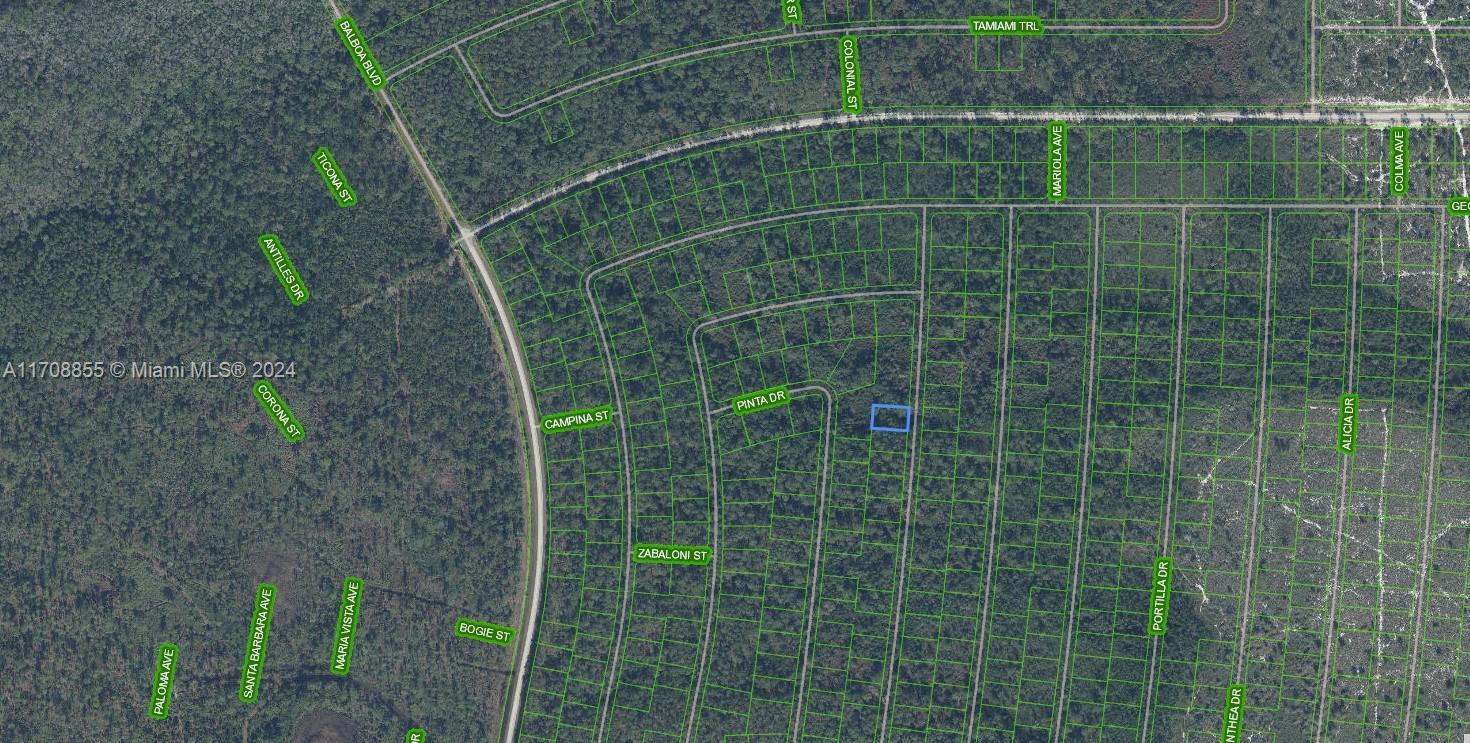 SUN N LAKE EST OF SEBRING - Land