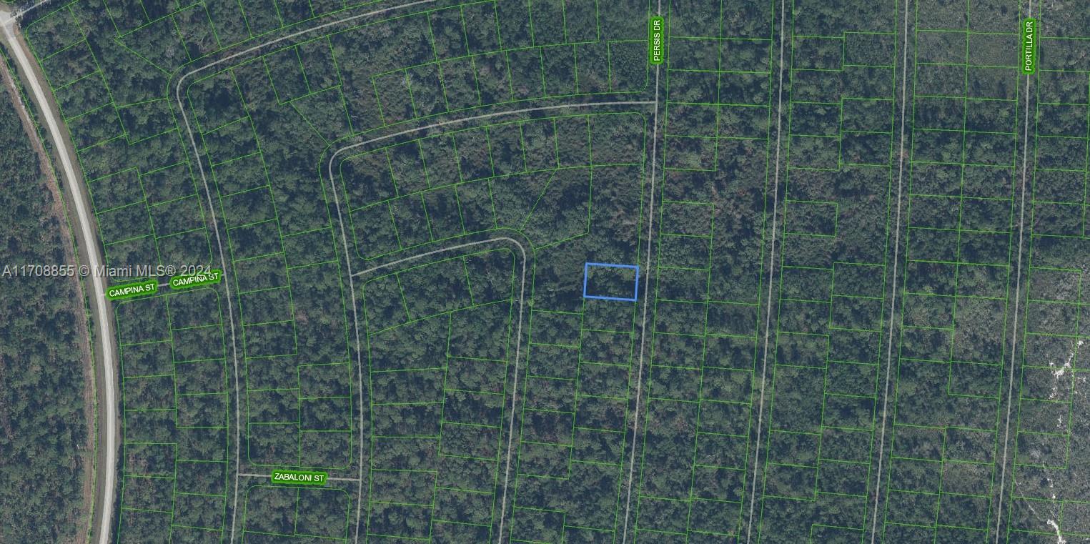 SUN N LAKE EST OF SEBRING - Land