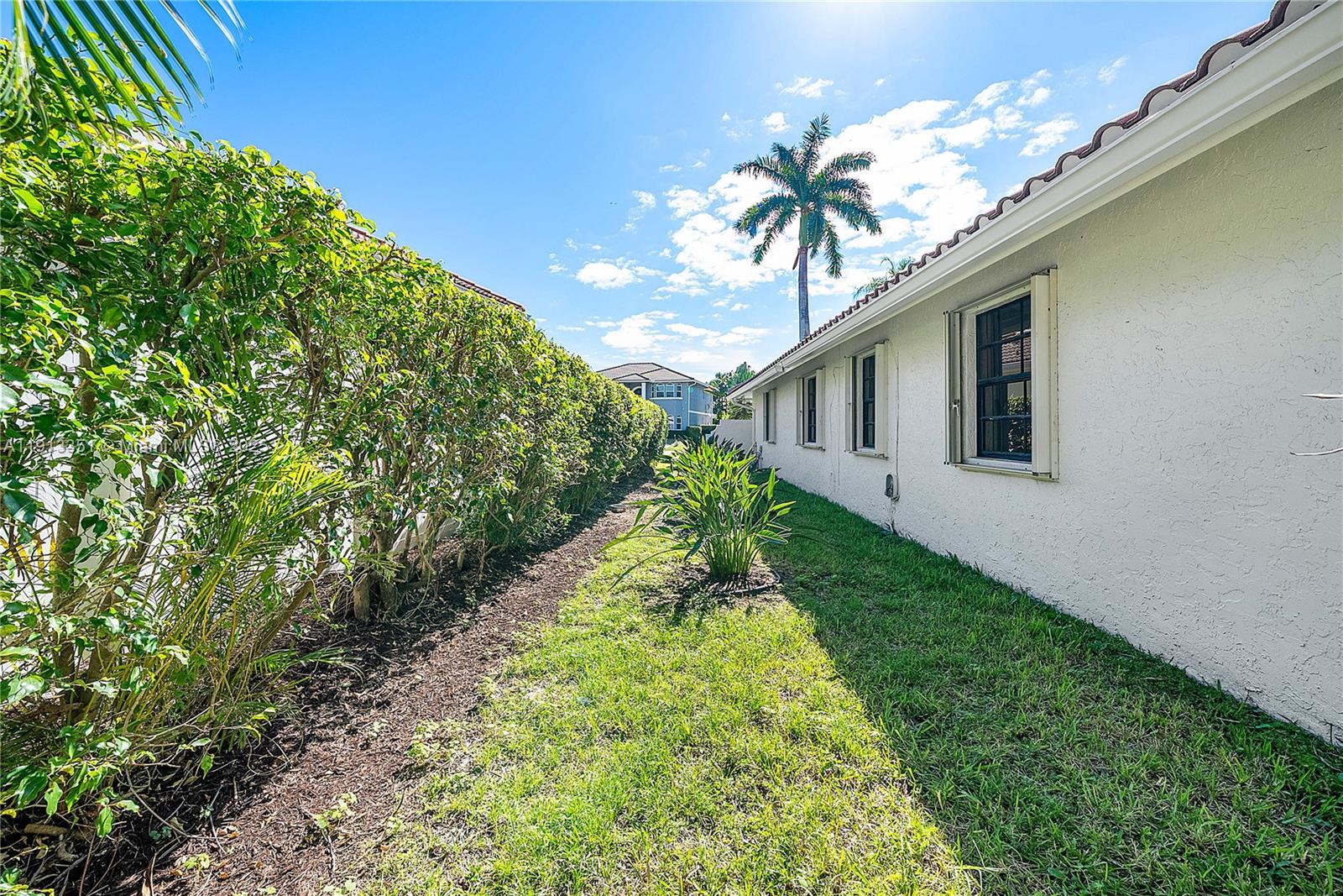 BUENAVISTA - Residential