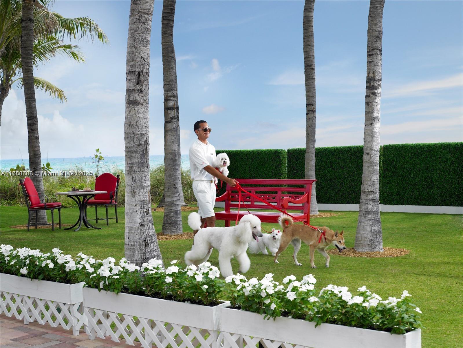 NORTH BISCAYNE BEACH AMEN - Residential