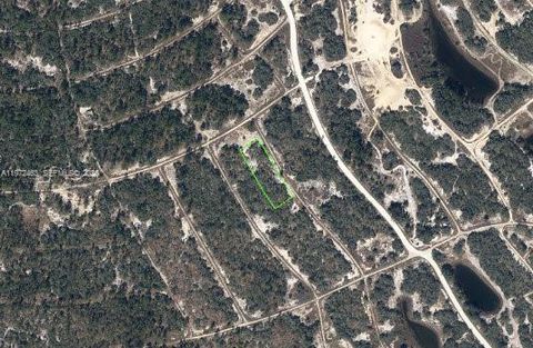 342 Gloaming Drive Lake Placid FL 33852