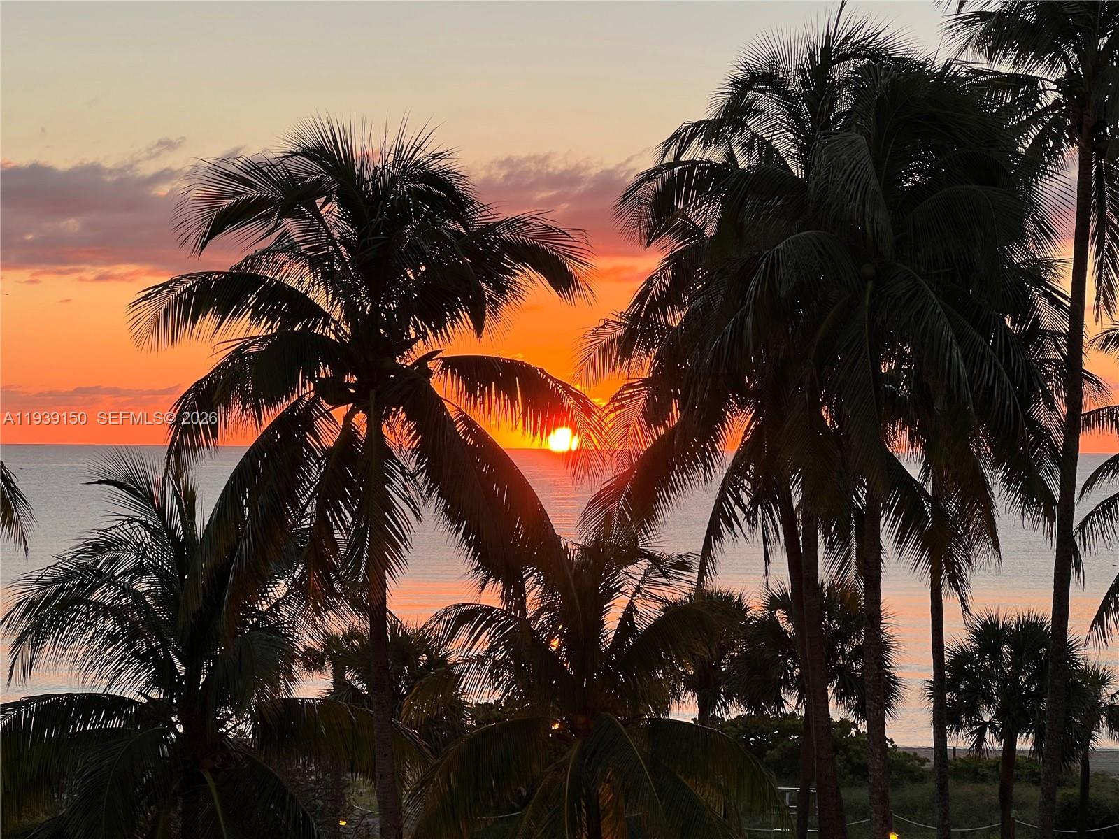 2555 Collins Ave 1504