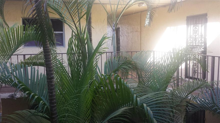 Welcome to a charming residence at 11905 NE 2 Ave, Unit C308, Miami. This property offers a bright and spacious interior featuring all impact windows and sliding doors and an open floor plan. Enjoy the serene greenery from your private balcony, appropriate for relaxing or entertaining. The building provides convenient amenities such as a pool, tennis, gym and secure gated parking. Located in a vibrant neighborhood with easy access to local dining, shopping, and entertainment. 
A convenient bus stop just out side of the property. A walking distance  to Barry University. Investors purchase with instant income. Renters are month to month.
