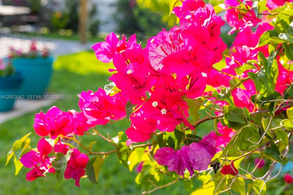 THUMB POINT SUBDIVISION - Residential