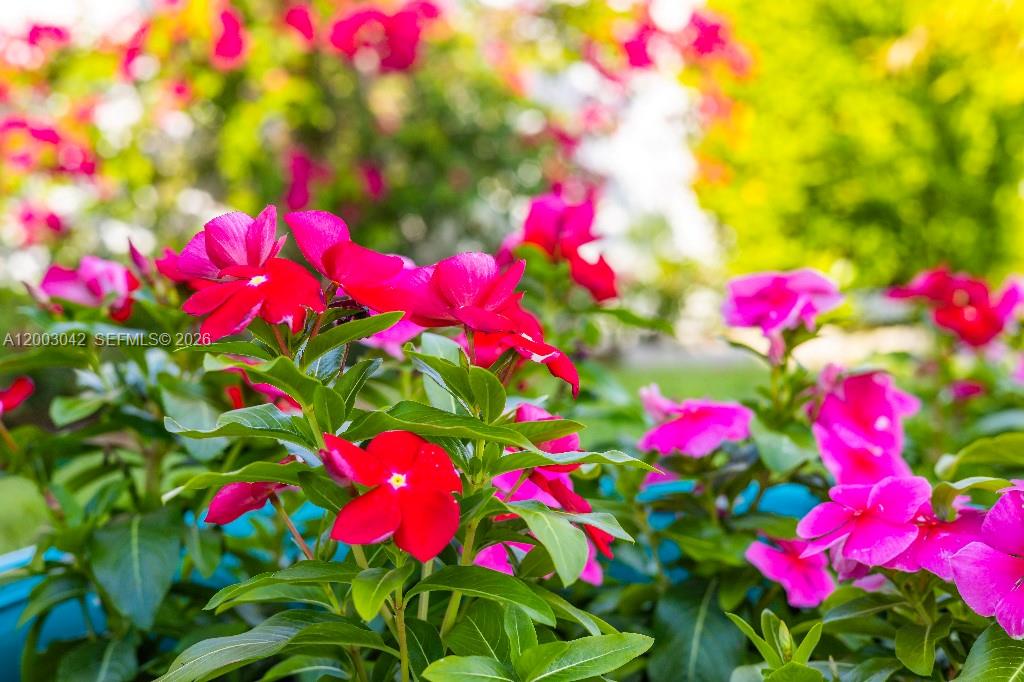 THUMB POINT SUBDIVISION - Residential