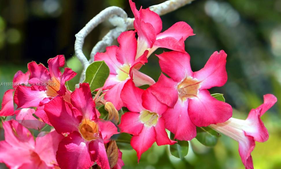 Port Charlotte Sec 31 - Land